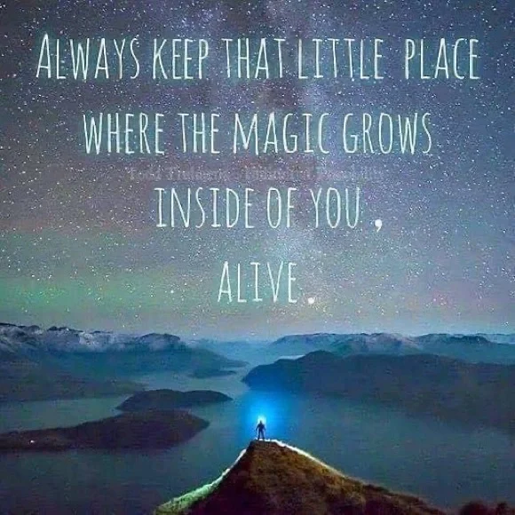 Black and Mystic White Austrian Crystal Dog Pendant
Necklace 29-31 Inches! - Picture 11 of 11